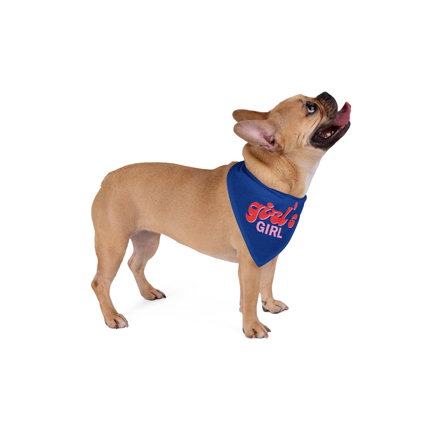 Girls Girl 3 Pet Bandana